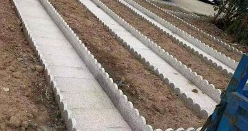张家口芝麻白花边石